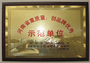 安全生產(chǎn)先進企業(yè)